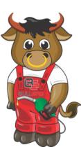 BG BULLGAS