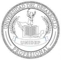 UNIVERSIDAD DEL DESARROLLO PROFESIONAL UNIDEP