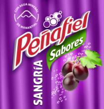 PEÑAFIEL SABORES SANGRÍA