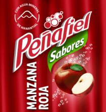 PEÑAFIEL SABORES MANZANA