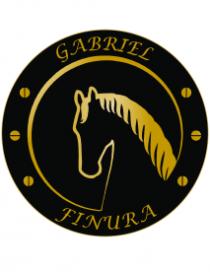 GABRIEL FINURA