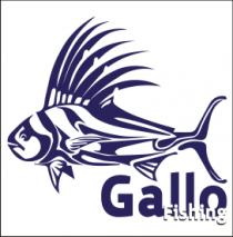 GALLO FISHING