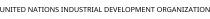 UNITED NATIONS INDUSTRIAL DEVELOPMENT ORGANIZATION