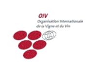INTERNATIONAL ORGANISATION OF VINE AND WINE.