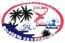 LA CURVA DEL VENADO