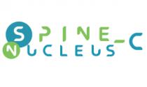 SPINE NUCLEUS - C