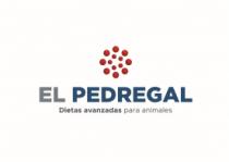 EL PEDREGAL DIETAS AVANZADAS PARA ANIMALES