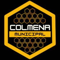 COLMENA MUNICIPAL