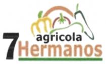 AGRICOLA 7 HERMANOS