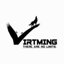 VIRTMING THERE ARE NO LIMITS