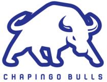 CHAPINGO BULLS