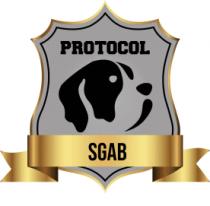 PROTOCOL SGAB