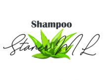 STANER ML