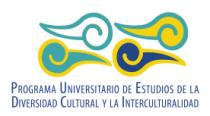 PROGRAMA UNIVERSITARIO DE ESTUDIOS DE LA DIVERSIDAD CULTURAL Y LA INTERCULTURALIDAD