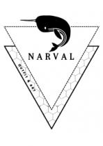 NARVAL OUTFIT & ART