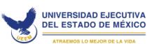 UEEM UNIVERSIDAD EJECUTIVA DEL ESTADO DE MEXICO
