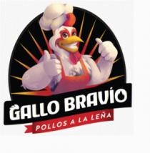 GALLO BRAVÍO