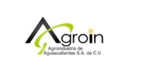 AGROIN AGROINDUSTRIA DE AGUASCALIENTES S.A. DE C.V.
