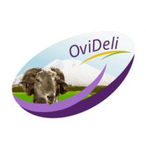 OVIDELI