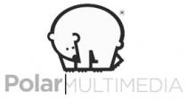 POLAR MULTIMEDIA