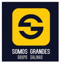 SOMOS GRANDES GRUPO SALINAS