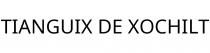 TIANGUIX DE XOCHILT