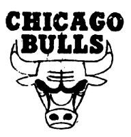 CHICAGO BULLS