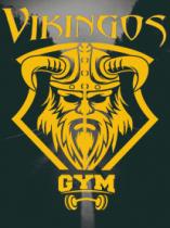 VIKINGOS GYM