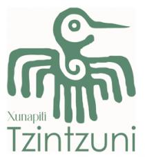 XUNAPITI TZINTZUNI