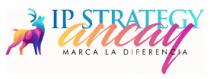 ANCAY IP STRATEGY