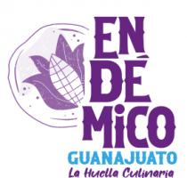 ENDÉMICO GUANAJUATO LA HUELLA CULINARIA