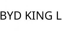 BYD KING L