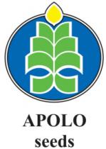 APOLO SEEDS