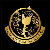 TRADICIONAL MOLE REAL