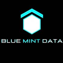 BLUE MINT DATA