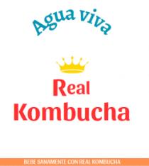 AGUA VIVA REAL KOMBUCHA BEBE SANAMENTE REAL KOMBUCHA