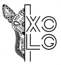 IXO-LOG