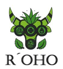 R´OHO