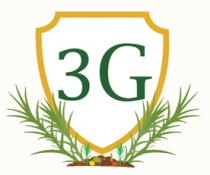 3G