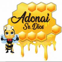 ADONAÍ SR. DIOS