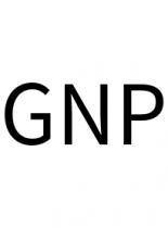 GNP