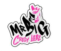 MR BIG CRAZY LABZ