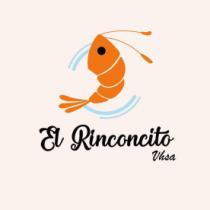 EL RINCONCITO VHSA