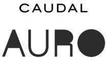 CAUDAL AURO