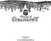 PRINCIPE DI GRANATEY COLOMBA BIANCA
