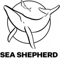 SEA SHEPHERD