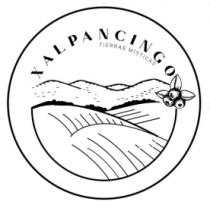 XALPANCINGO TIERRAS MISTICAS