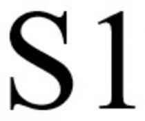 S1