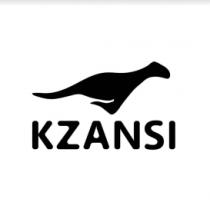 KZANSI