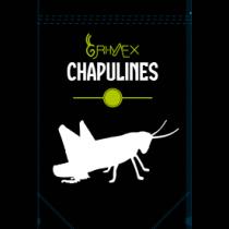GRI-MEX CHAPULINES